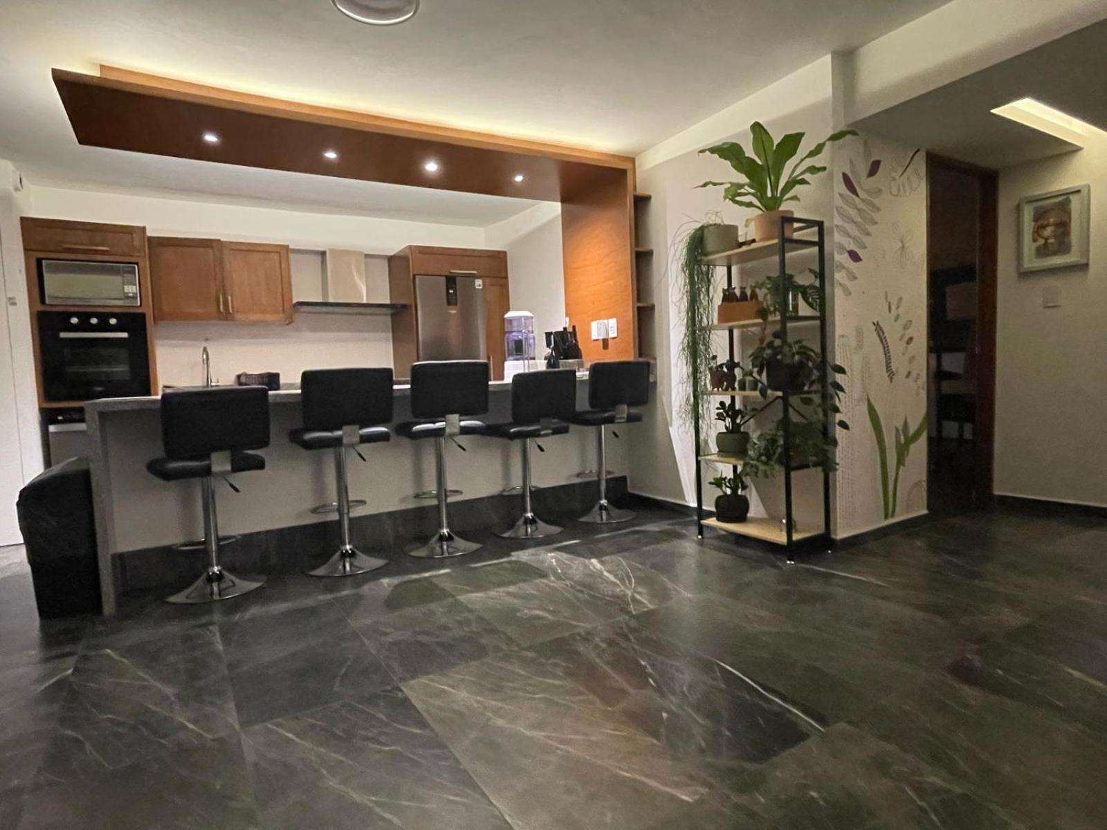 Great Apartment In The Heart Of Coyoacan Μεξικό Εξωτερικό φωτογραφία